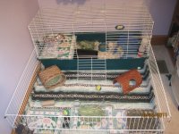 Finished new cage!