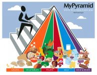 776px-MyPyramidFood.svg.jpg