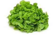 Leaf lettuce in Australia