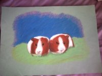 Guinea pig artwork from 7th grade