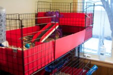 New cage, multi-level stacked open cage