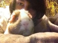 Photo of the WHEEK! Contest: "Piggies and YOU!"