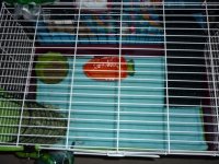 Can you extend a store cage?