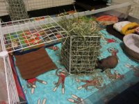 A great, safe way to use grids for hay racks!!!