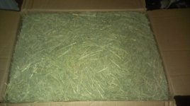 Suggestions on hay
