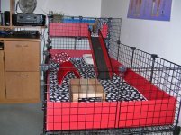 Big cage - small space.jpg