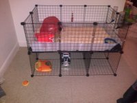 Need Alternative ideas for my cage for a bottom