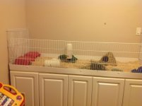 Kitchen cabinet/ shelving cage