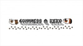 Guinness and Keko Personalization DIY Cage.jpg