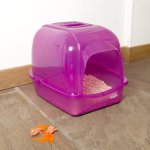 Kitchen area - using a hooded litter box - pic attached