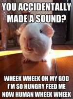 Ever wonder what it would be live if humans were like guinea pigs?