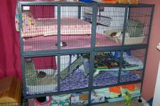 Double Double Critter Nation into one big cage ???