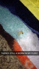 Worm in my Fleece!