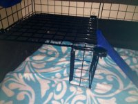 Looking for zip tie alternatives to build a bunk bed