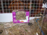 Diy fashion hay rack for guinea pigs