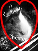 Rest in Peace Chester <3