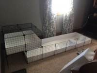 New C&C cage for two boys!