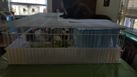How to make a lid for cage out of closet shelving?