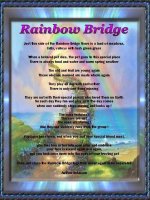 Rainbowbridge2.jpg