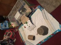 Pet Store Cage for a week ?