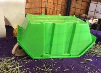 Need help going over future guinea pig owner buying list that I have created.