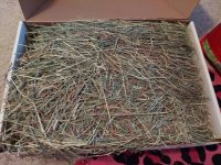 I've had it with Oxbow hay
