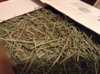 Small pet select 2nd cut Timothy hay review!