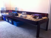 Cavy Supplies Organization: Post your pictures!