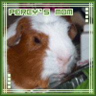 Percy's Mom