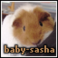 baby-sasha