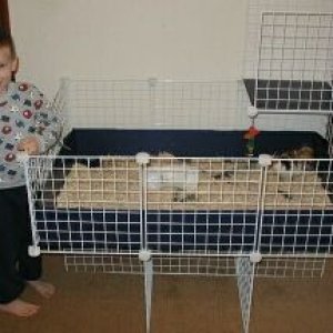 Essie's cage, another version
