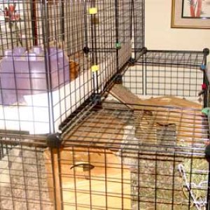 Chumley's cage, upper deck