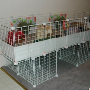01- full cage