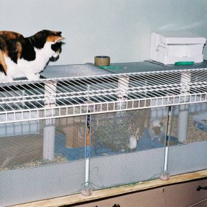 Clarasmom Cat-Safe Cage