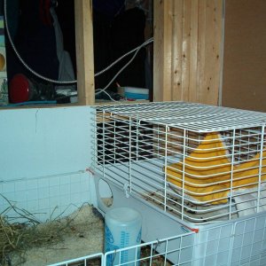 use for old store cage