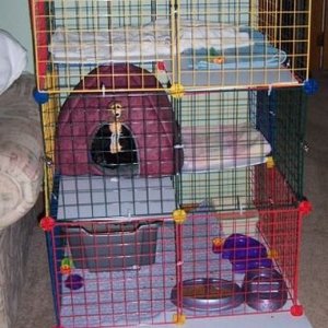 Tri-level 2x2 cat cage