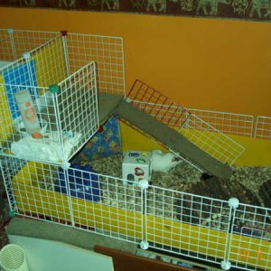 Two-level cage