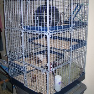 double-grid degu cage