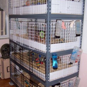 4 Story Utility Shelving Stacked Cage