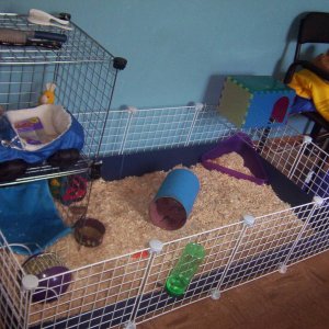 Revised Cage