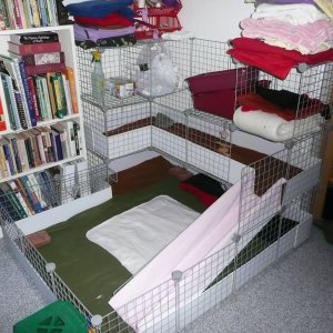 My Cage