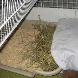 Bunk bed/ hay rack / litter box in one