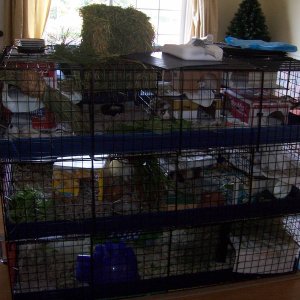 Three Story Cage Re-Design