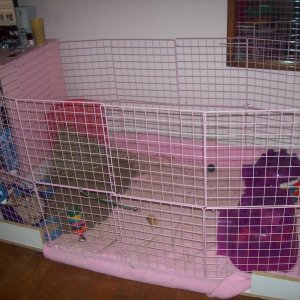 My cage (doors closed)