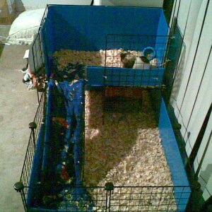 Front view of my first C&C Cage