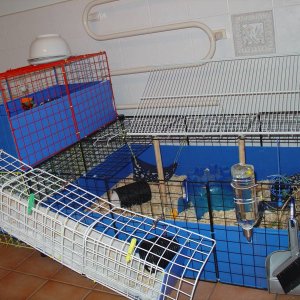 Ramp view of cage