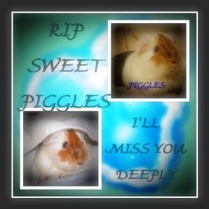 Good Bye My Sweet Piggles