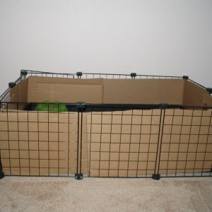 Baby Proof Open Cage