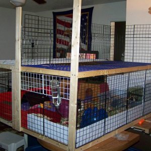 3rd photo of boys cage