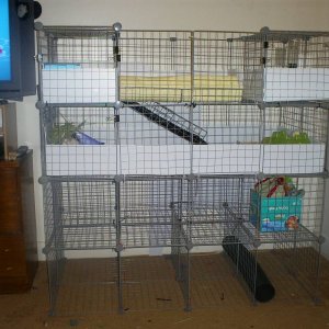new toddler proof cage
